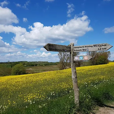Naturnahes Ostsee Und Schlei Erlebnis Im Landhaus Gruene Oase An Der Geltinger Bucht Dom wakacyjny