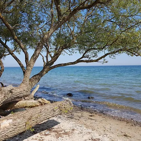 Dom wakacyjny Naturnahes Ostsee Und Schlei Erlebnis Im Landhaus Gruene Oase An Der Geltinger Bucht